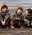 Сыктывкар впервые увидит уникальную международную фотовыставку об Арктике