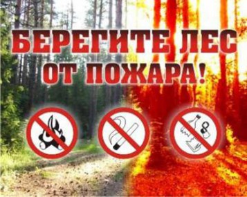 Правила пожарной безопасности в лесу