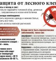 Сергей Казаковцев: Современные рекомендации позволяют проводить вакцинацию против клещевого вирусного энцефалита в течение всего года
