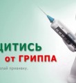 В Республике Коми от гриппа привито 274785 человек