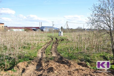 Почва в Коми – одна из наиболее чистых в стране