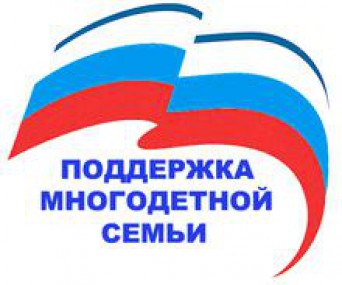 Правительство РФ решило дополнительно поддержать многодетные семьи