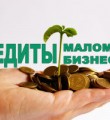Малому бизнесу в России выдадут кредиты под 6,5 процента годовых
