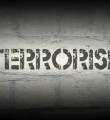 Краткая история и причины живучести терроризма