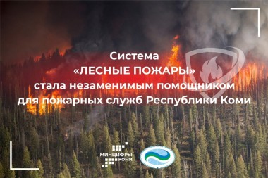 Система "Лесные пожары" стала незаменимым помощником для пожарных служб Республики Коми