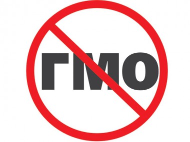 Установлена административная ответственность за неуказание сведений о содержании в пищевой продукции ГМО